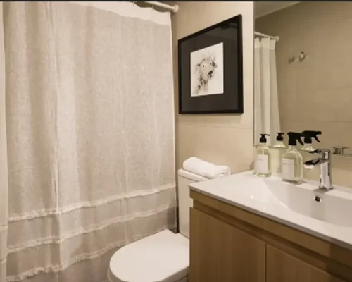 Segundo baño departamento en venta providencia bono pie
