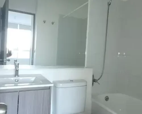 Primer baño ala medida