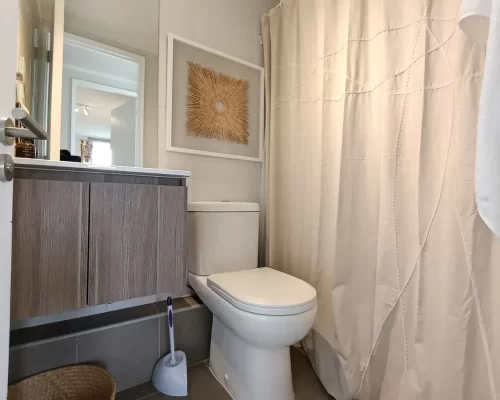 Baño departamento principal en venta en Macul con bono pie