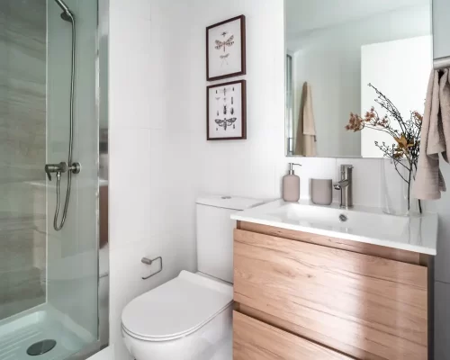 Baño principal