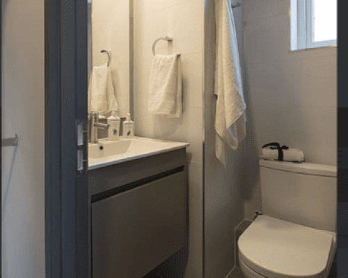 6- Baño 2d2b